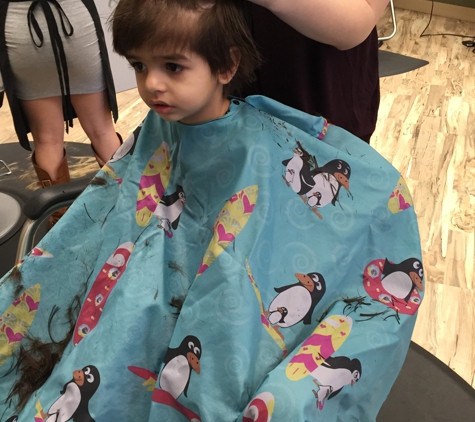 Great Clips - Roseville, CA. Two year old getting a trim