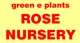 Green E Roses Logo