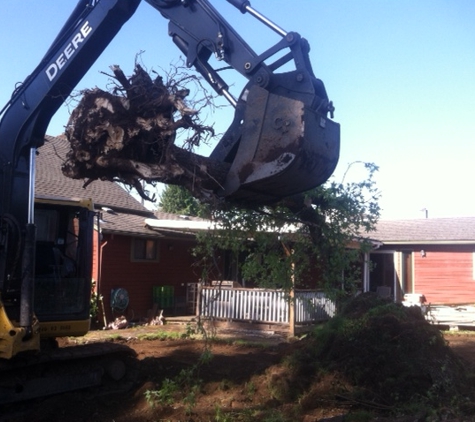 Anthony Excavation & Tree Service LLC - Nashville, TN