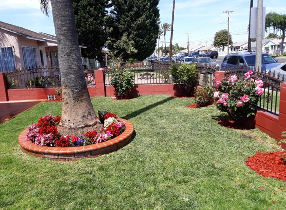 Jessy landscaping - Wilmington, CA