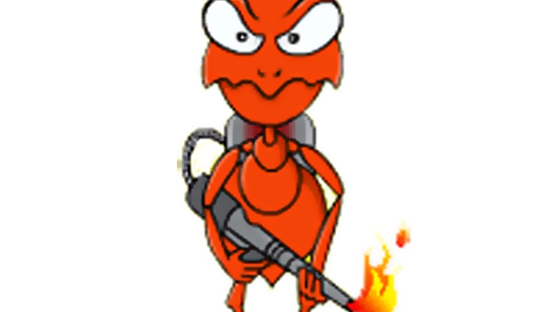 Assassin Pest Control. Termite Specialists