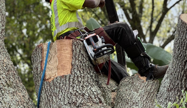 All Your Way Tree Service - Seffner, FL