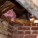 ACE Restoration Services - Water Damage Restoration