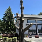 On The Block Landscape and Tree Service