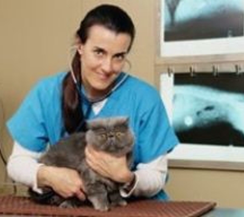 Wilmington Veterinary Hospital - Wilmington, MA