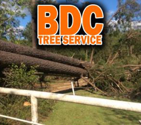 BDC Tree Service