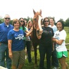 Whetstone Valley Stables gallery