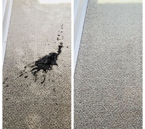 Beyer Carpet Cleaning - San Antonio, TX