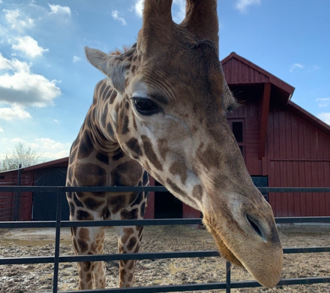 Tennessee Safari Park - Alamo, TN