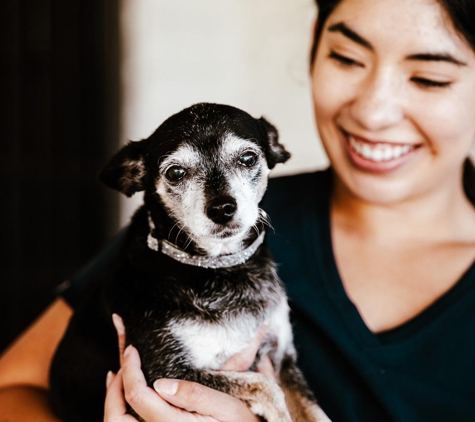 Imperial Animal Hospital - La Mirada, CA