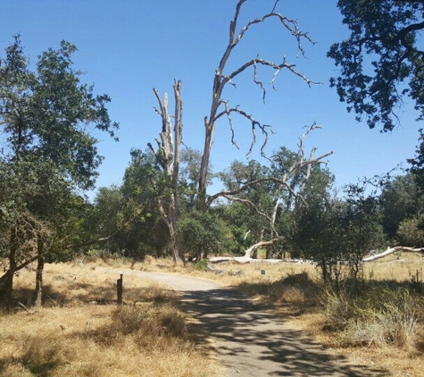 Effie Yeaw Nature Center - Carmichael, CA