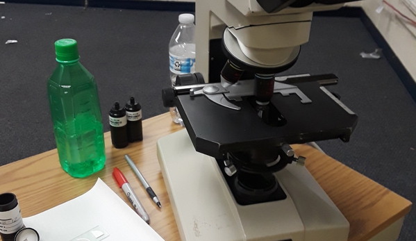 AVERA Environmental, LLC. - Woodbridge, VA. Phase-contrast microscopy (PCM)  an optical microscopy technique that converts phase shifts in light passing through a transparent specimen.