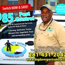 Big Dave's Termite & Pest Control - Pest Control Services