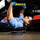 AMSVS - Synthetic Oils