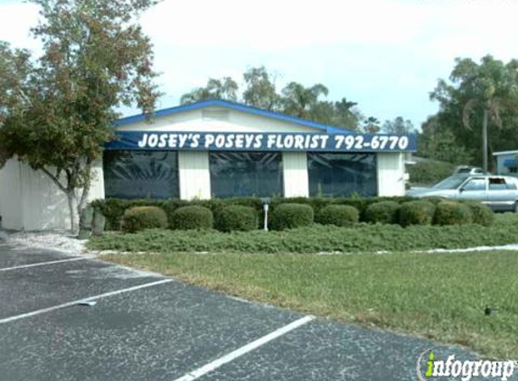 Josey's Poseys Florist - Bradenton, FL