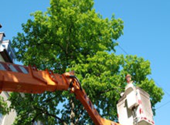 Watkins Tree Experts - Charlestown, RI