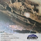 Ecotect Pest Control