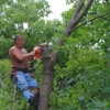 Green Mountaineers Tree Service gallery