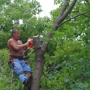 Green Mountaineers Tree Service