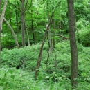 Kendall County Forest Preserve District - Parks