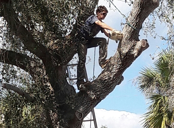 TOM'S AFFORDABLE TREES SERVICE - Vero Beach, FL