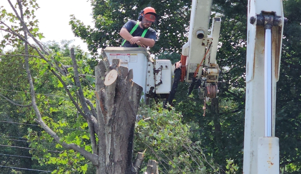 Oakes Tree Service & Rubish Removal