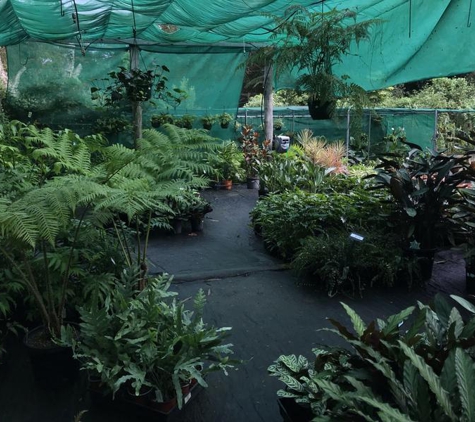 Coolamon Gardens Nursery - Ocean Shores, NSW