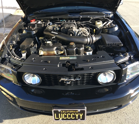 Got Detail - San Diego, CA. Mustang Roush got detailed with the works! Clay bar removing all contaminants and swirl marks, applied a paint sealant, engine bay