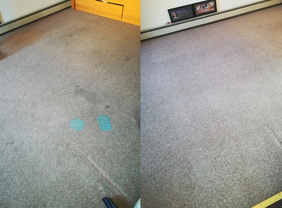 Dream Steemers Carpet Cleaning - Flushing, NY