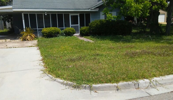 Michael's lawn service - Gulfport, MS