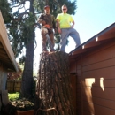 Trees N More - Tree Service