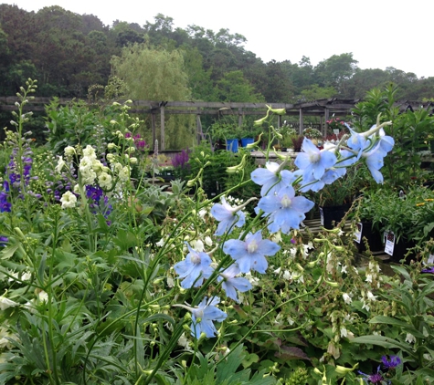 Bayberry Gardens & Landscaping