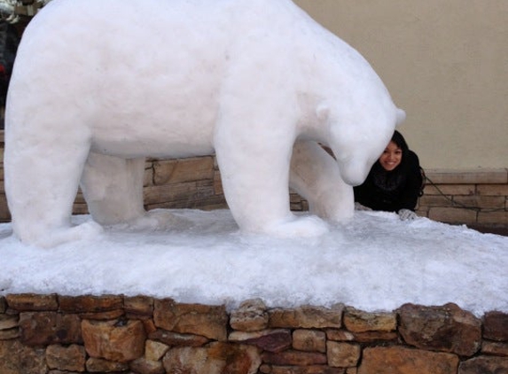 Big Bear Bistro - Vail, CO