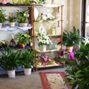 Deltona Stetson Floral - Flowers, Plants & Trees-Silk, Dried, Etc.-Retail
