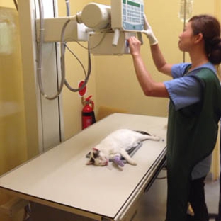 Belmont Avenue Veterinary Hospital - Belmont, WA