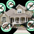 Pest Control Services - Pest Control Services