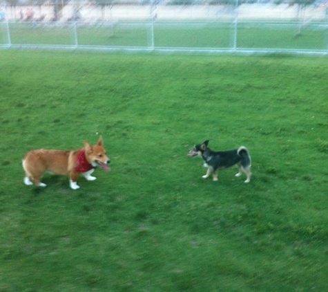 Barkin' Basin Dog Park - Las Vegas, NV