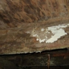 Colonial Exterminating CO Inc gallery
