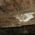 Colonial Exterminating CO Inc