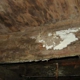 Colonial Exterminating CO Inc