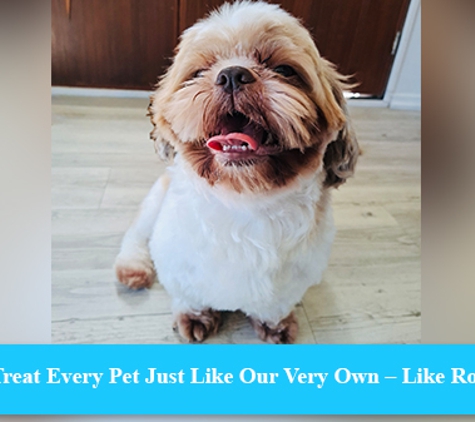 Scrub-A-Dub-Dub Dog & Cat Grooming - Rosemount, QLD. We Treat Every Pet Just Like Our Very Own – Like Royalty