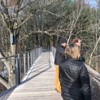 Whiting Forest gallery
