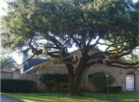 Tree  Musketeers LLC - San Antonio, TX