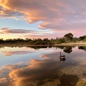 Gallery Image Number 8