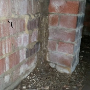 Gallery Image Number 5