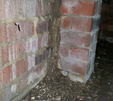 North Sydney Pest Management - Willoughby, NSW