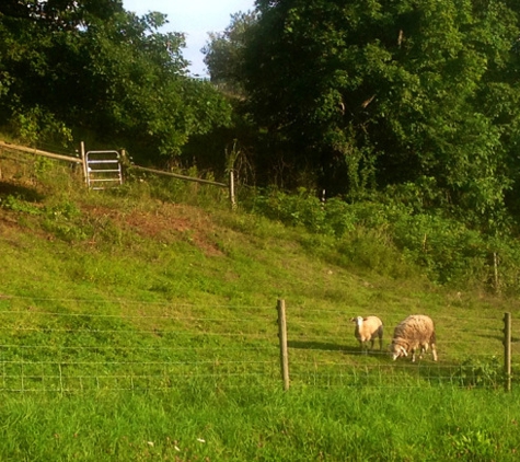 Corner Rail Fence Co. Corner Rail Fence Co Inc - Sheep Fence