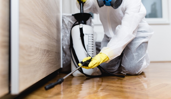 Affordable Pest Control - Nowra, NSW