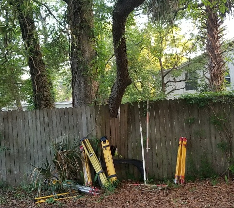 Greenwise Tree Surgeons - Jacksonville, FL. tree through fence before
