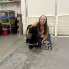Bauser's Pet Training